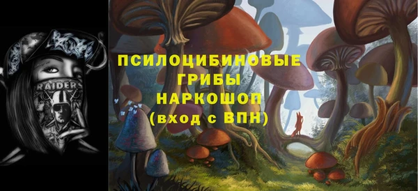 индика Бугульма